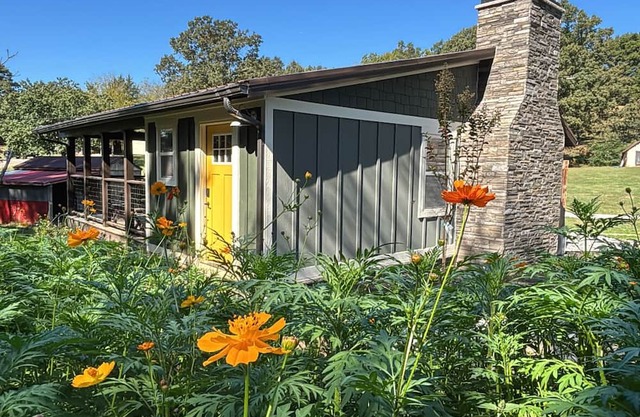 Cozy Smoky Mtn Cabin Dragon, Cades Cove, Tellico