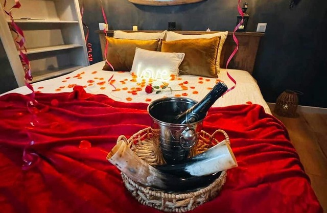 Scandinavian escape, heart of Nordic times/Private spa/Cinema/10 min center