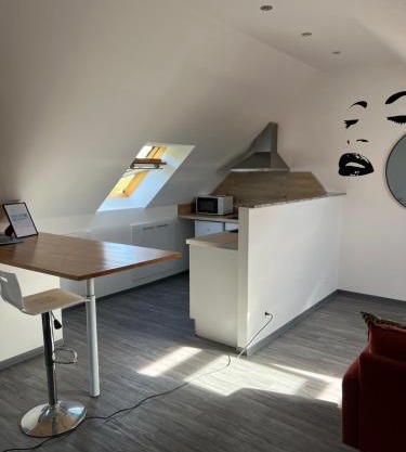 Reichstett appartement Strasbourg 10min