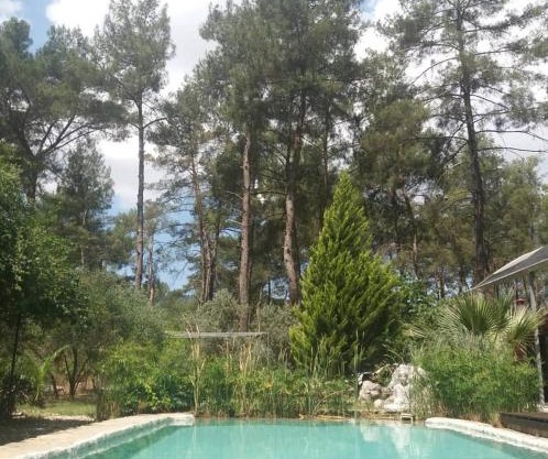 Yeşilyurt 5 rooms