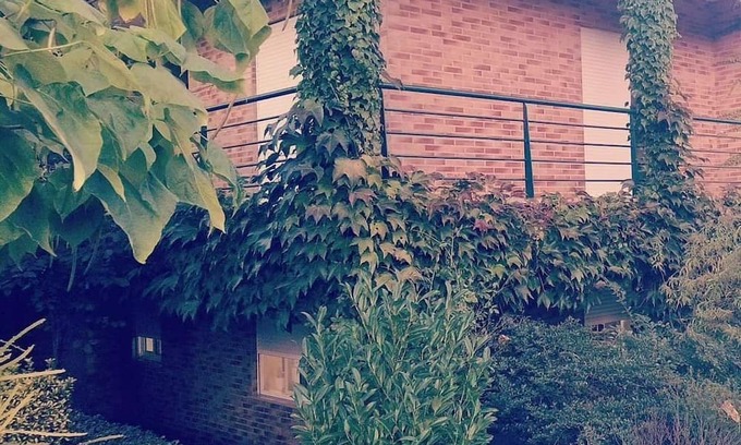Fragoso Apartment | 🌿 Casa com Raízes e História. É Casa com Alma. É Refúgio Para Quem nos Visita