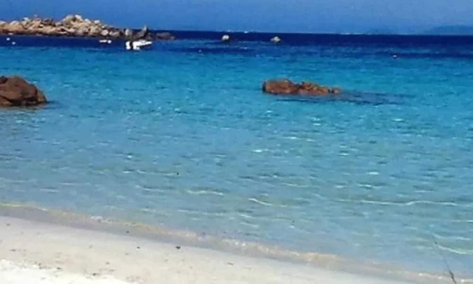 Eccica-Suarella Apartment | Homerez - Nice apartement 3 km away from the beach for 3 ppl. at Eccica-Suarella