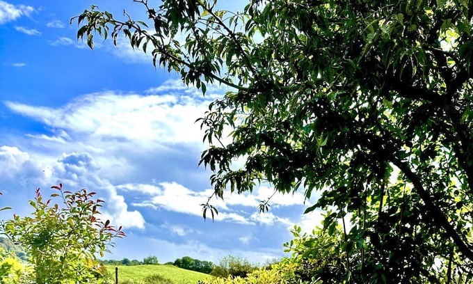 Charlton Horethorne Cottage | Renovated Cottage in Sherborne with Stunning Views