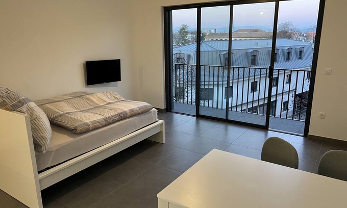 Saint-Louis Apartment | Wohnung Saint Louis Elsass, Nähe Basel , Flughafen, Dreiländereck, Wlan