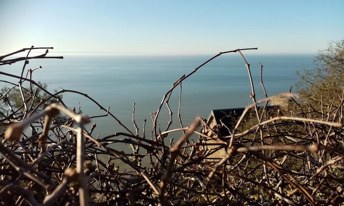 Champeaux Bed & Breakfast | La Campagne au Bord de la Mer. Une Chambre Chez L'habitant et ses Animaux