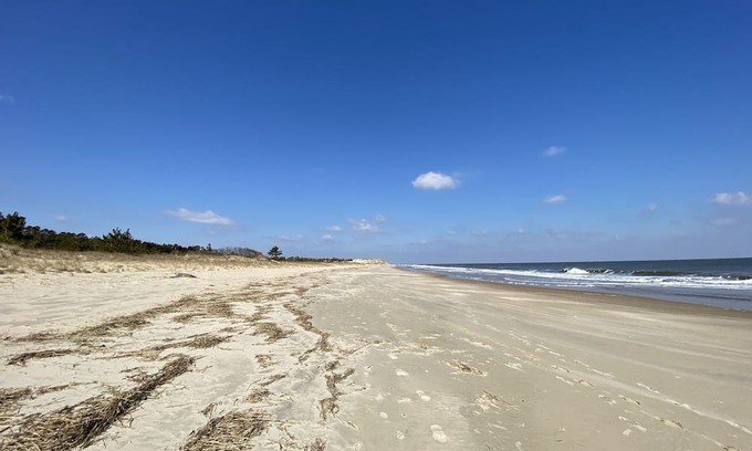 Milford House | Detached in law suite. Murphy bed, close to the hospital, 20 mins from the beach