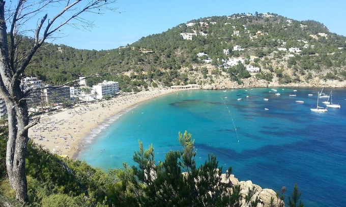 Deia Villa | Luxury Private Holiday Villa with Private Pool, Mallorca Villa 1463