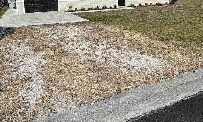 Florida Ridge Apartment | 2 Bedroom 751867 by Houzlet