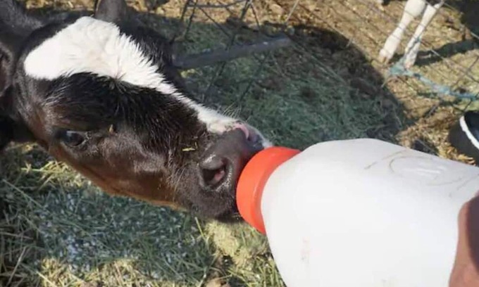 Beaver County House | Farmhouse Upstairs Apartment