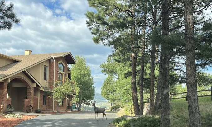 Golden Villa | Luxury Mountain View Get Away Entire Second Floor