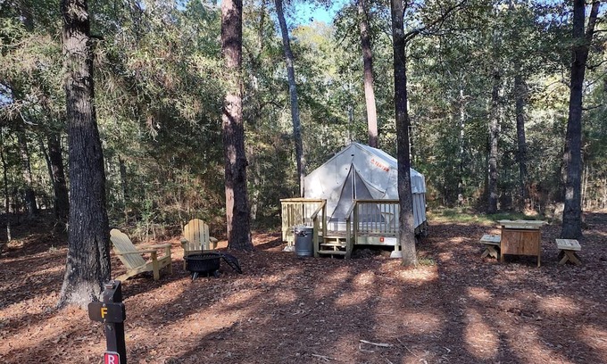 West Livingston RV Rental | Tentrr State Park Site - TX Lake Livingston State Park - Site B - Single Camp