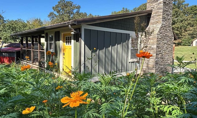 Greenback Cabin | Cozy Smoky Mtn Cabin Dragon, Cades Cove, Tellico