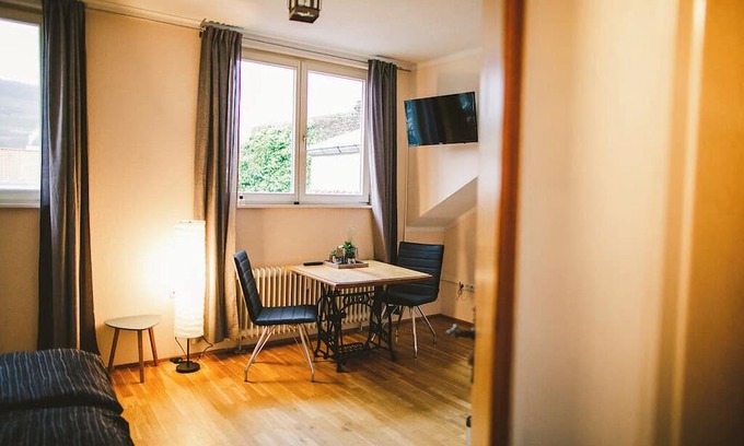 Mainz-Bingen Apartment | Cozy studio with a great view