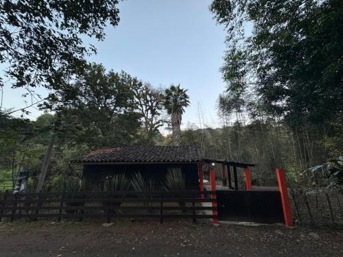 Rincon Coatepec Other | Aldea Alemm