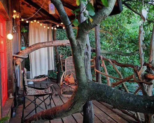 Cluj-Napoca Other | Forest TreeHouse