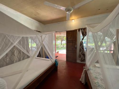 Mafia Island Bed & Breakfast | Mafia Whale Shark Safari Afro Beach